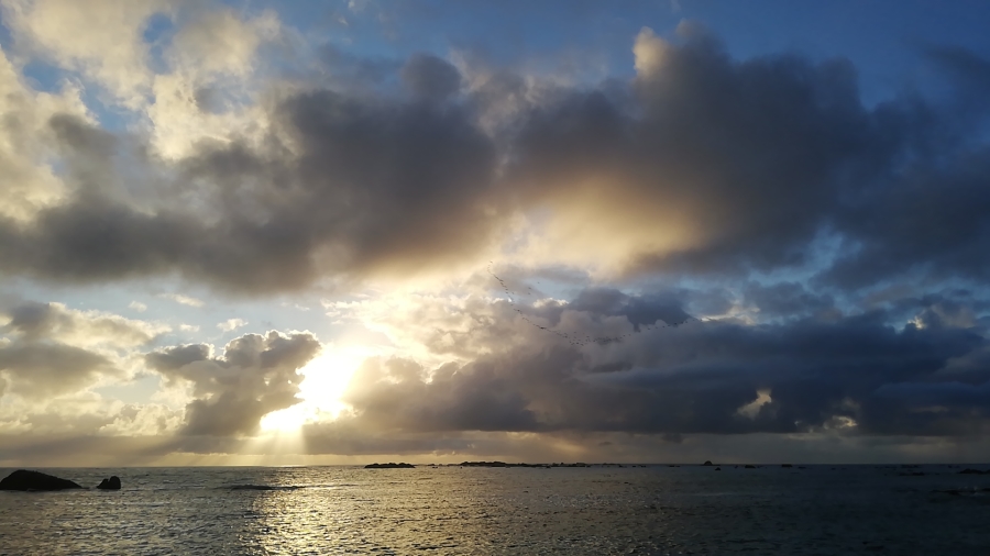 0 Bedroom Property for Sale in Brittania Beach Estate Western Cape